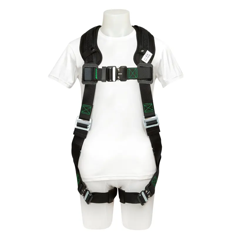 Buckingham Economy TrueFit Harness with Back Padding and Web Dorsal Loop