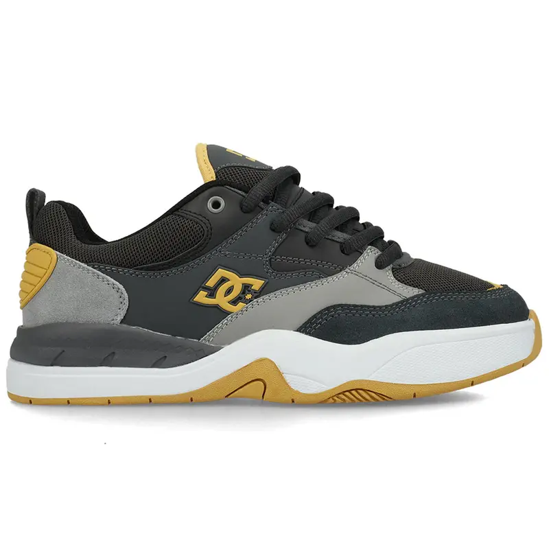 DC Ascend Performance Skate Shoes