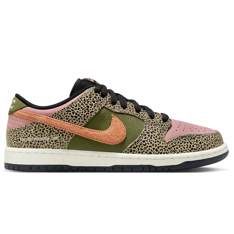 Nike SB Dunk Low Pro – Arts & Rec QS Sneakers