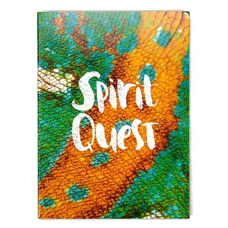 Spirit Quest Legends Never Die DVD Box Set – Animated Fantasy Series