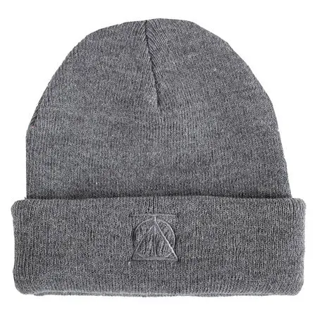Theories Crest Embroidered Beanie