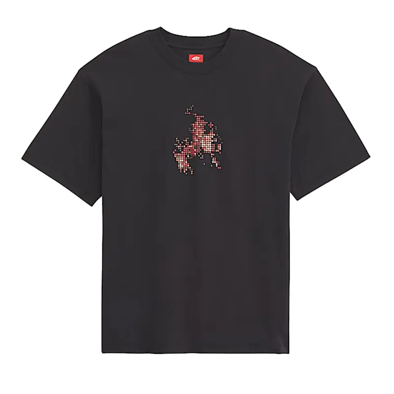 Vans Skate ‘Flame’ Cotton T-Shirt
